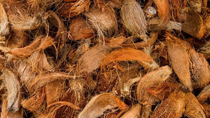 fungsi jaring sabut kelapa