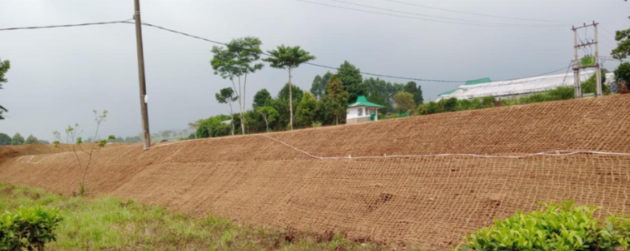 Jaring Sabut Kelapa untuk Proyek Lingkungan